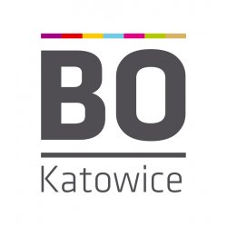 Budżet Obywatelski - Koszutka