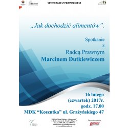Alimenty plakat