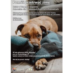 Pomóż przetrwać zimę