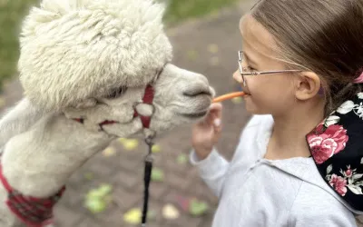 29 lipca - Alpacza sensoryka dla smyka