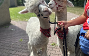 Relacja dnia 29 lipca - Akcja Lato w Mieście w filii 