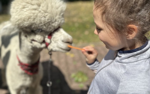 Relacja dnia 29 lipca - Akcja Lato w Mieście w filii 