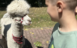 Relacja dnia 29 lipca - Akcja Lato w Mieście w filii 