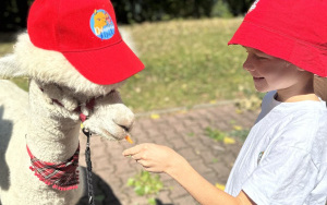 Relacja dnia 29 lipca - Akcja Lato w Mieście w filii 