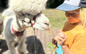 Relacja dnia 29 lipca - Akcja Lato w Mieście w filii 