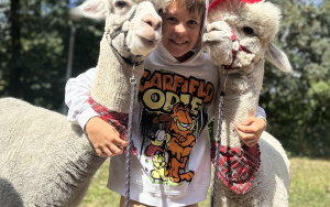 Relacja dnia 29 lipca - Akcja Lato w Mieście w filii 
