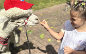 Relacja dnia 29 lipca - Akcja Lato w Mieście w filii 