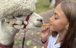 Relacja dnia 29 lipca - Akcja Lato w Mieście w filii 