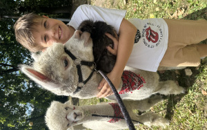 Relacja dnia 29 lipca - Akcja Lato w Mieście w filii 